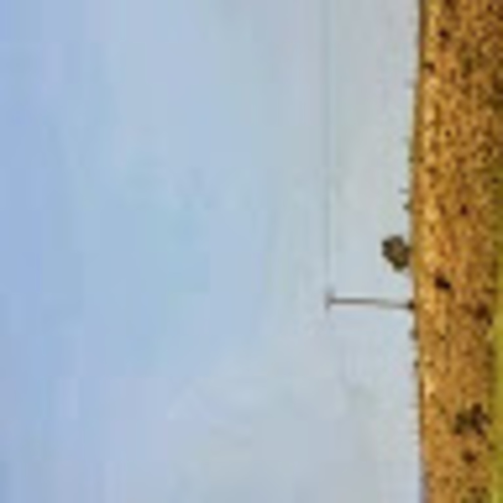 Meet your Posher, Max